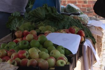 Ashburne vegetables in season