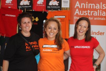 Animals Australia