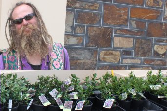 Derek grows beautiful plants