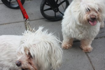 So much to see, which way?